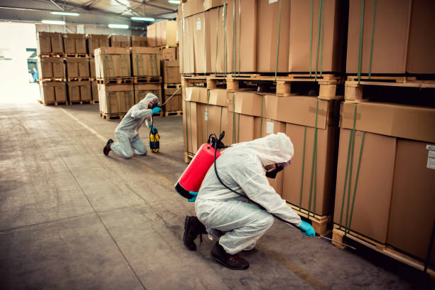Best Pest Control for Restaurants  in Trinity, FL