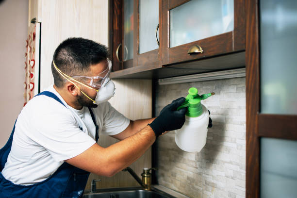 Best Ant Control Services  in Trinity, FL