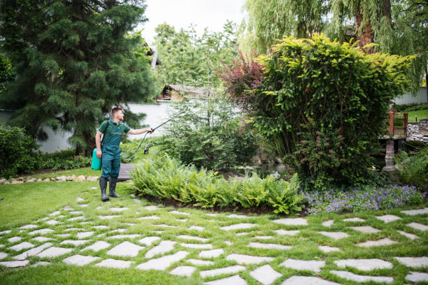 Best Best Pest Control Companies  in Trinity, FL