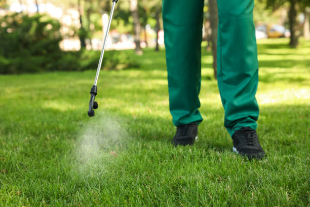 Best Ant Control Services  in Trinity, FL