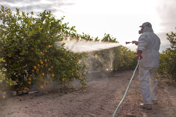 Pest Control for Restaurants in Trinity, FL
