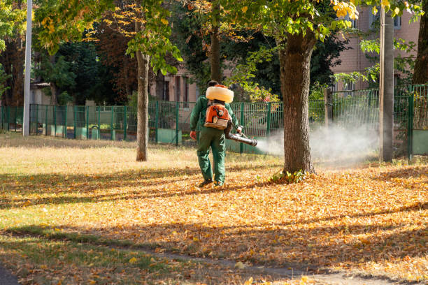 Best Mosquito Control Services  in Trinity, FL