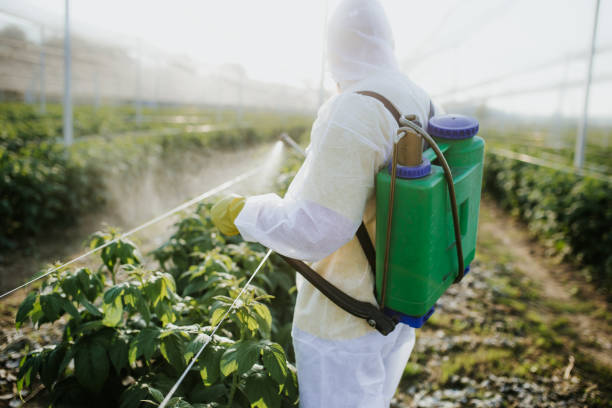 Best Wasp Removal Services  in Trinity, FL